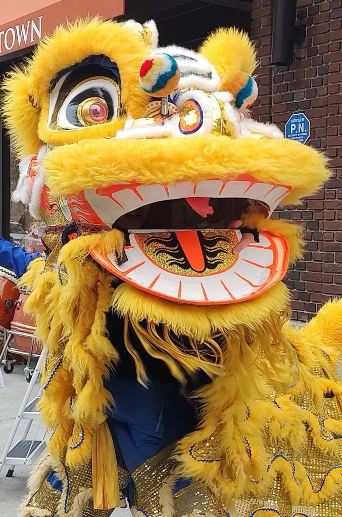 Lion Dance